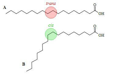 cis-trans-343x249