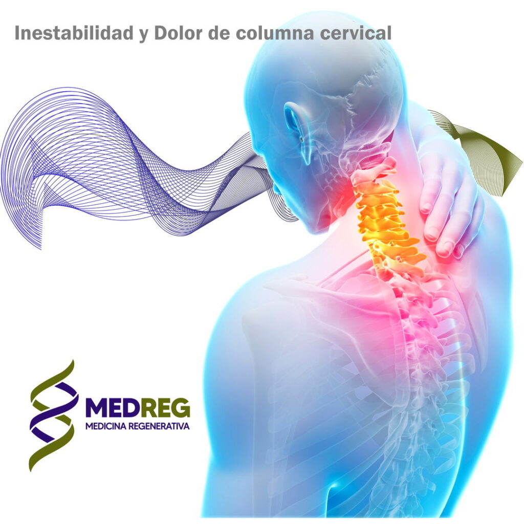 inestabilidad columna cervical